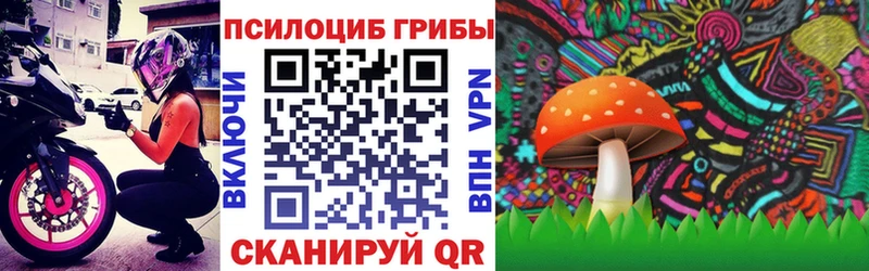 Галлюциногенные грибы Psilocybine cubensis  Облучье 